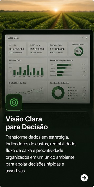 Visão clara para decisão